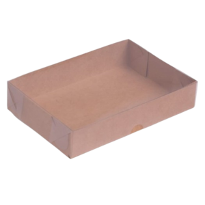 CAIXA DE ACETATO C/T TRANSPARENTE 19,5X13X4 RET KRAFT C/10 UNIDADES